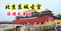 操亚洲奸逼穴毛片性色视频中国北京-东城古宫旅游风景区